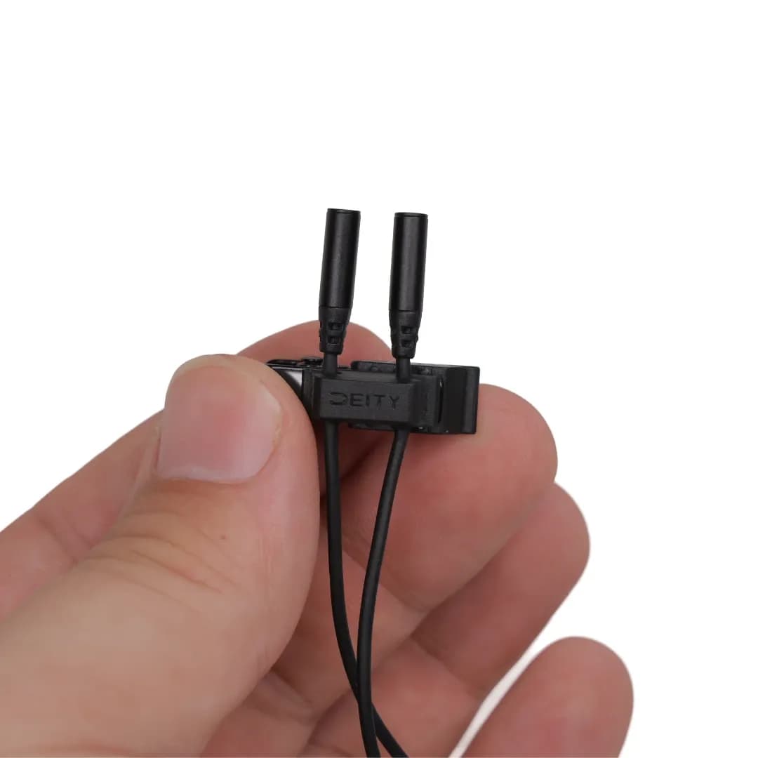 Deity Dual-Head WLP 2